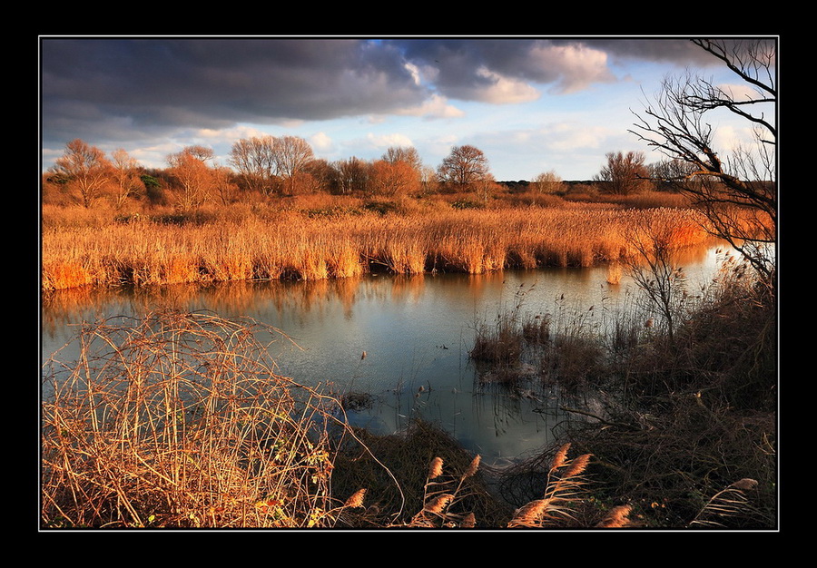 La Valle delle Canne