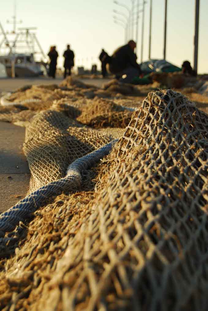 Termine di una giornata di pesca