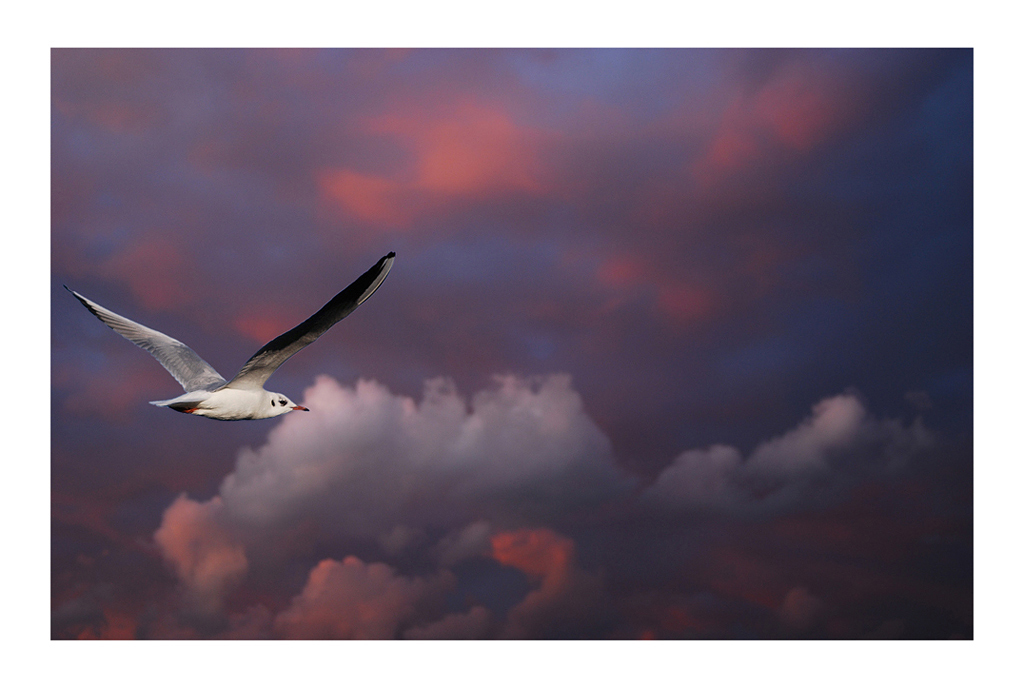 volo via