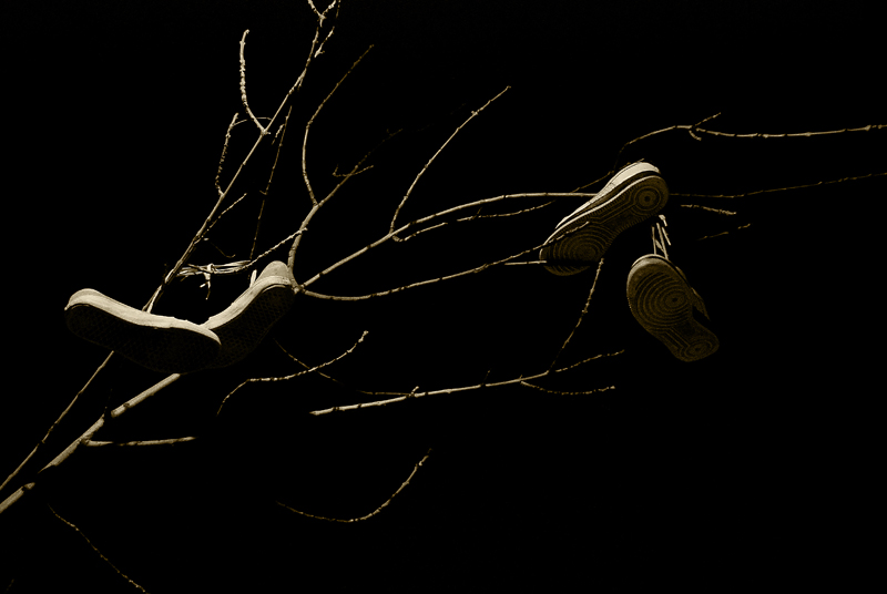 Contest 38 "Citt�, angoli nascosti"