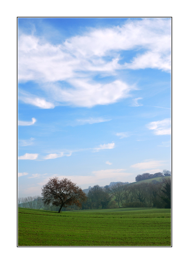 Paesaggio marchigiano 3