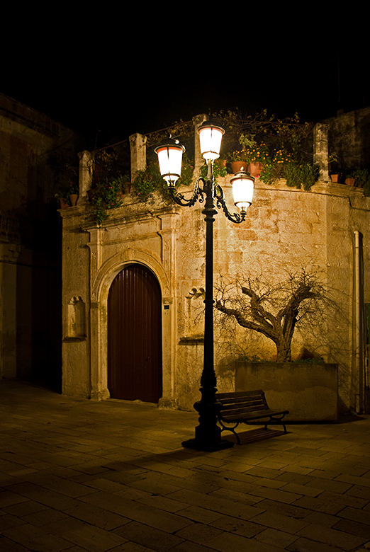 Storia di un vecchio albero, di una panchina e di un lampione.