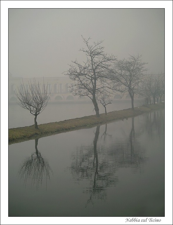 nebbia sul ticino