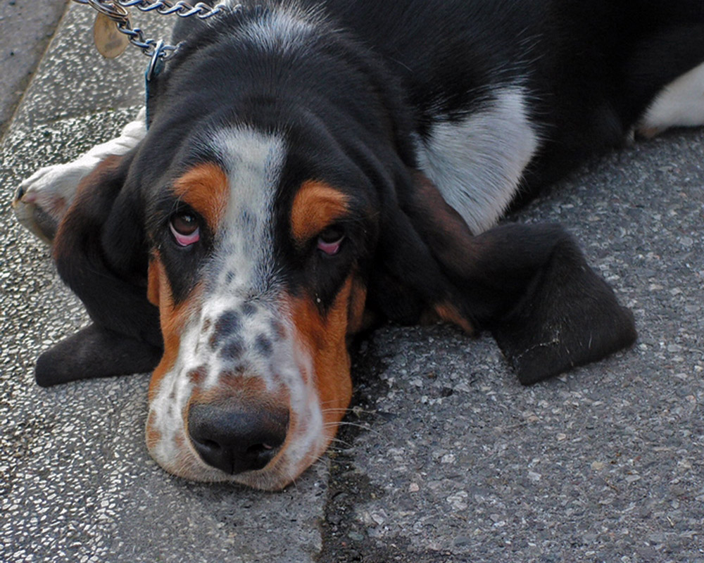 ti guardo m� non mi squasso