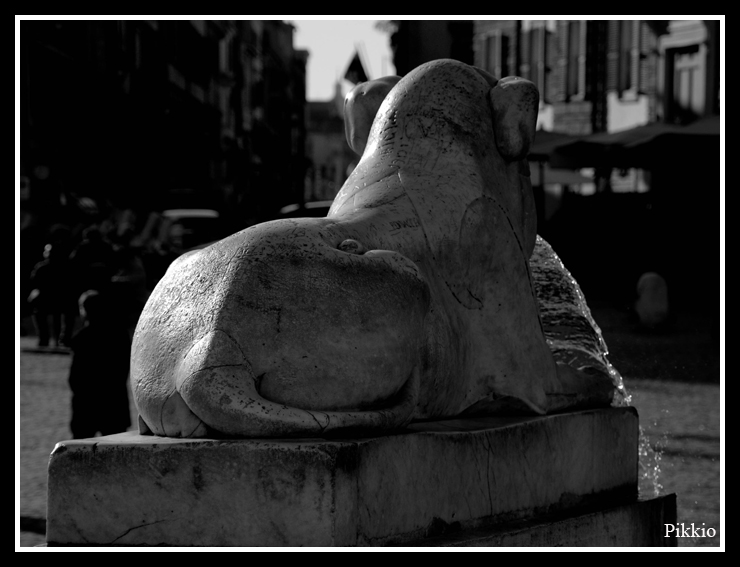 Dominare ... il tempo !!!