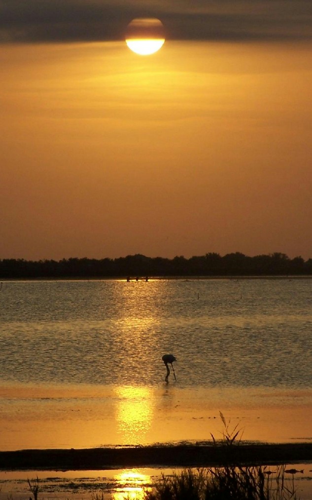 tramonto in Camargue