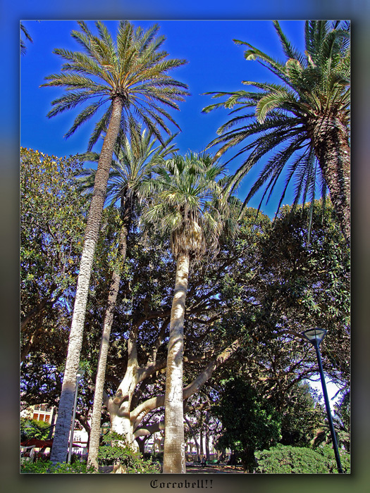 mazara del vallo piazza