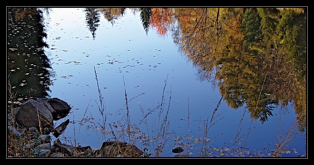 riflessi d'autunno