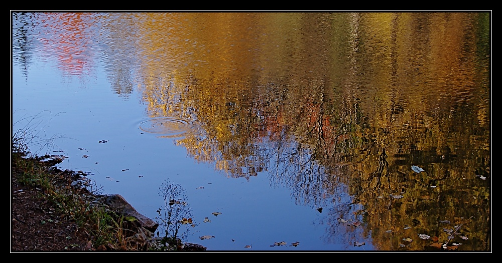 riflessi d'autunno