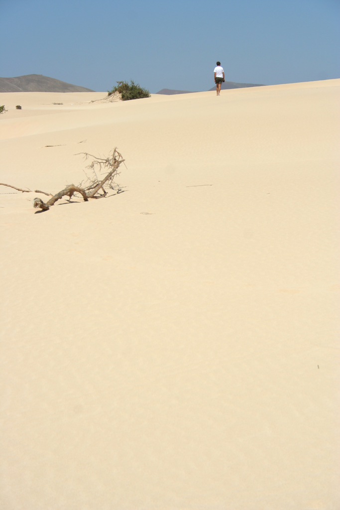 Camminando nel deserto