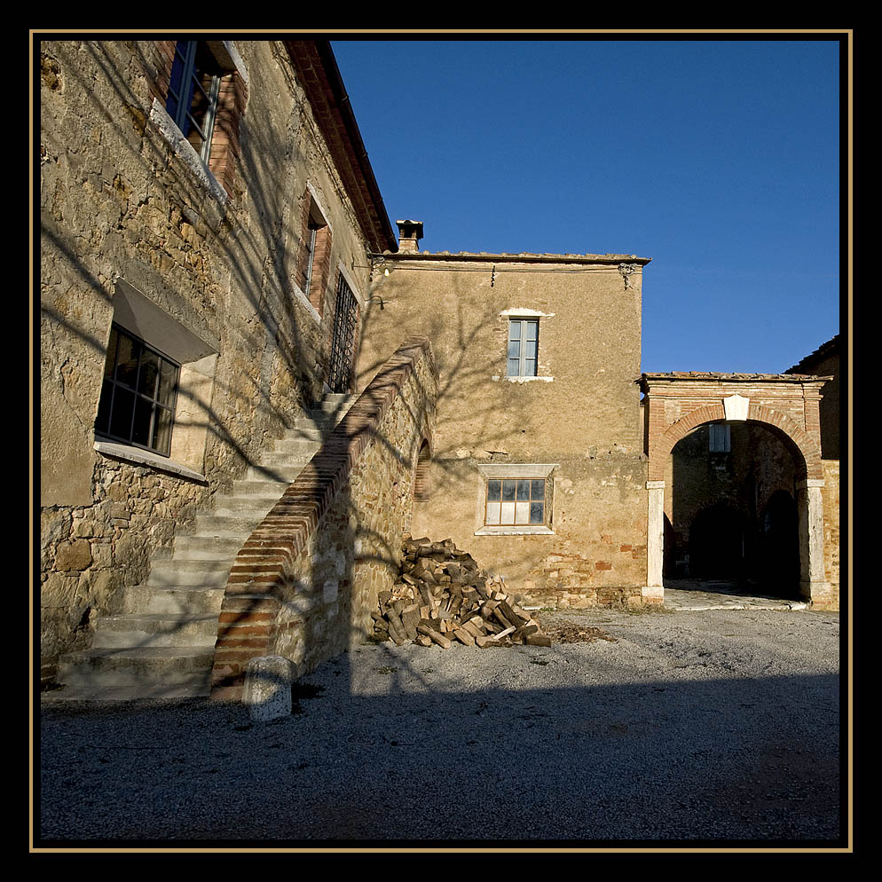 l'anima dell'albero che fu'