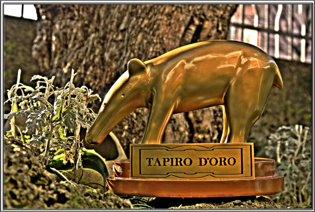 Tapiro!!!