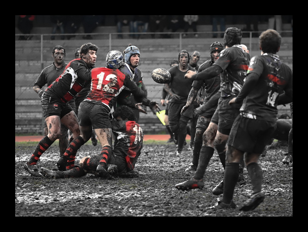 rugby 7