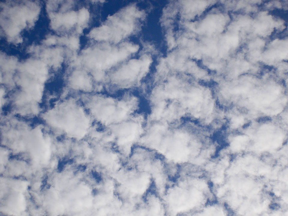 Nuvole a....pecorella