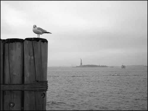 Relax a Battery Park