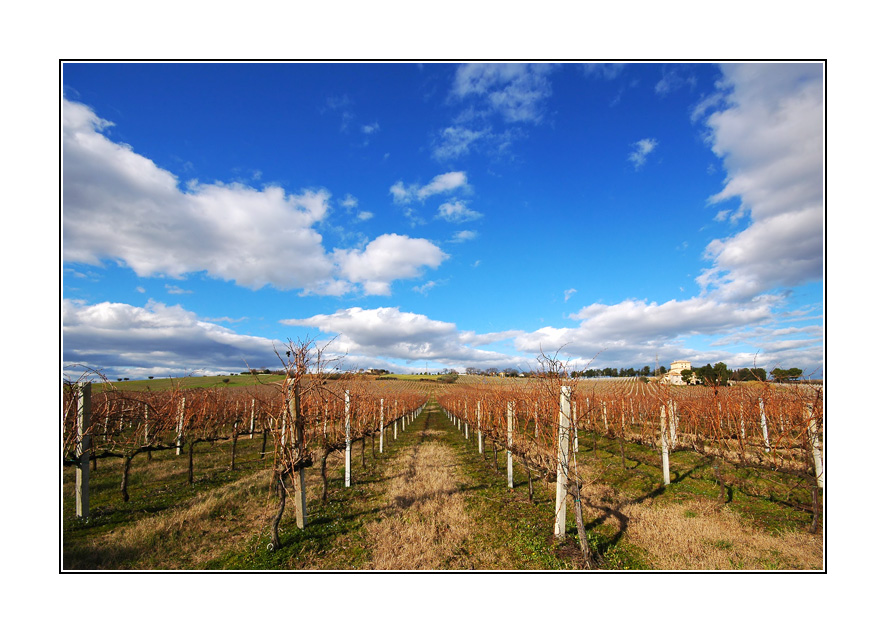 Una bella giornata invernale