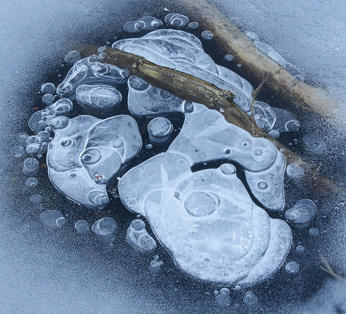 Il respiro del lago malato