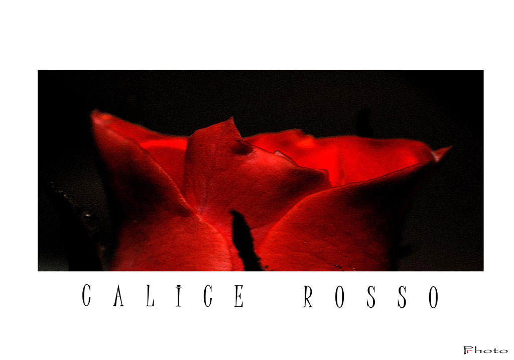 calice rosso