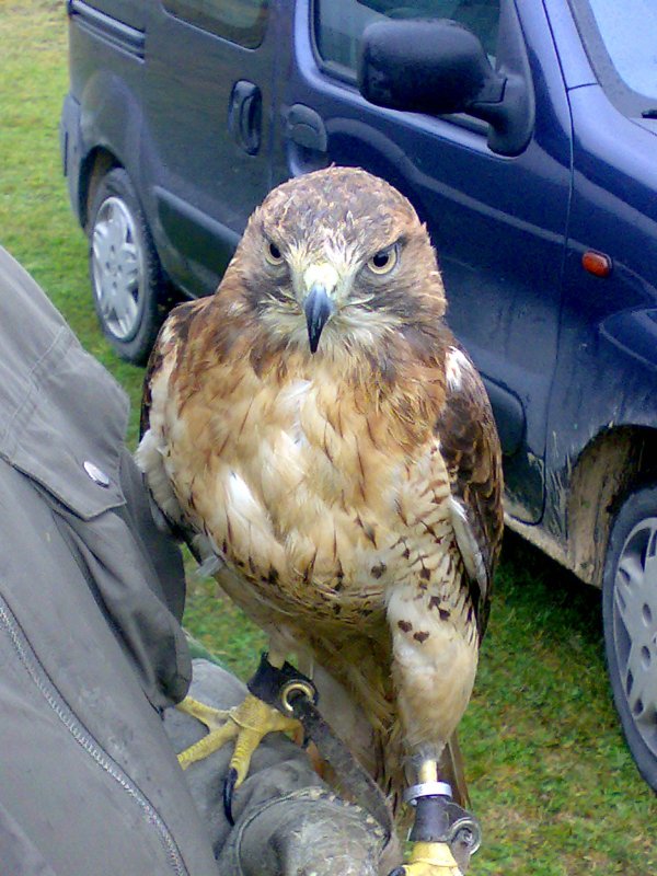la natura che spettacolo
