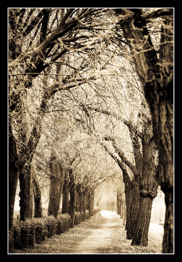Ferrara - Mura d'inverno