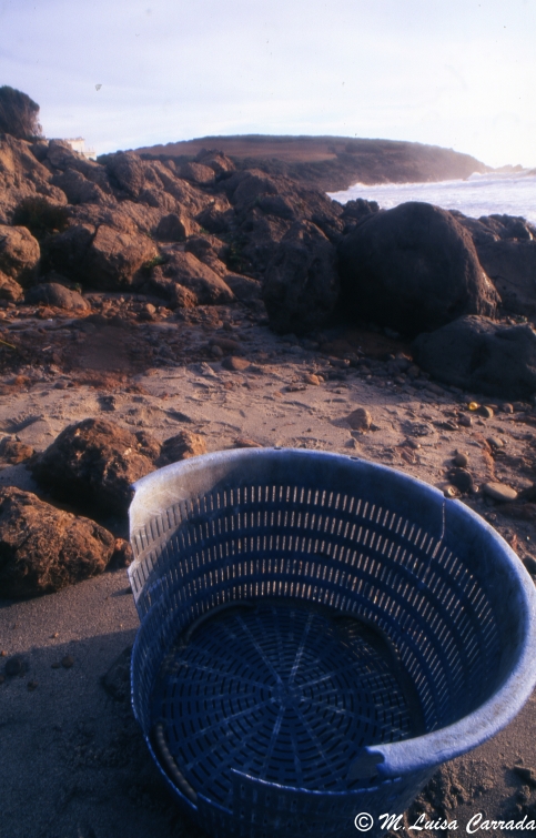 porto Pineto/5
