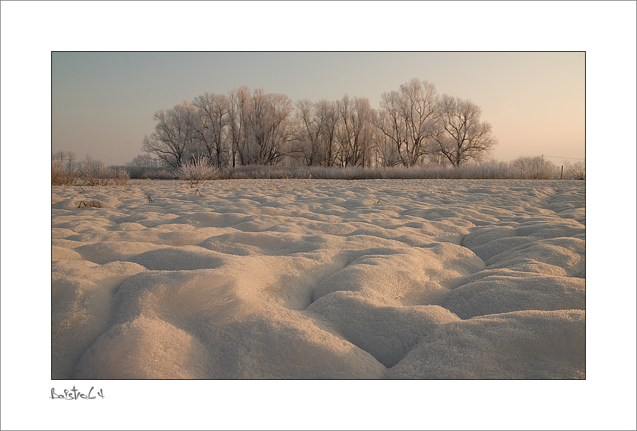 La golena,a modo mio