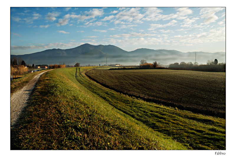 Paesaggio di campagna