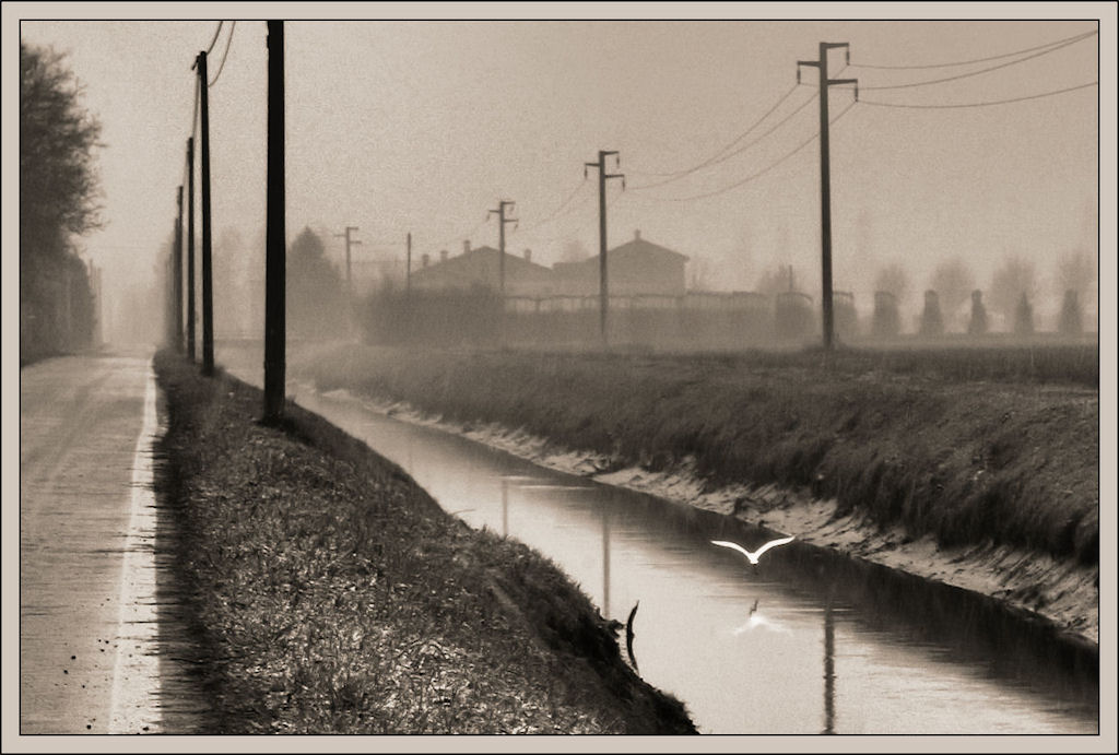 solo un volo ..lieve