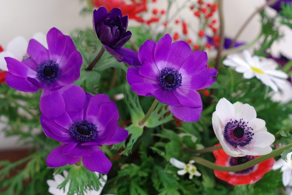 Fiori