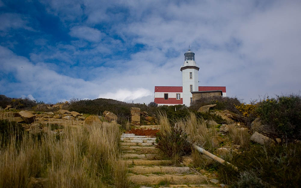 I Fari del Giglio