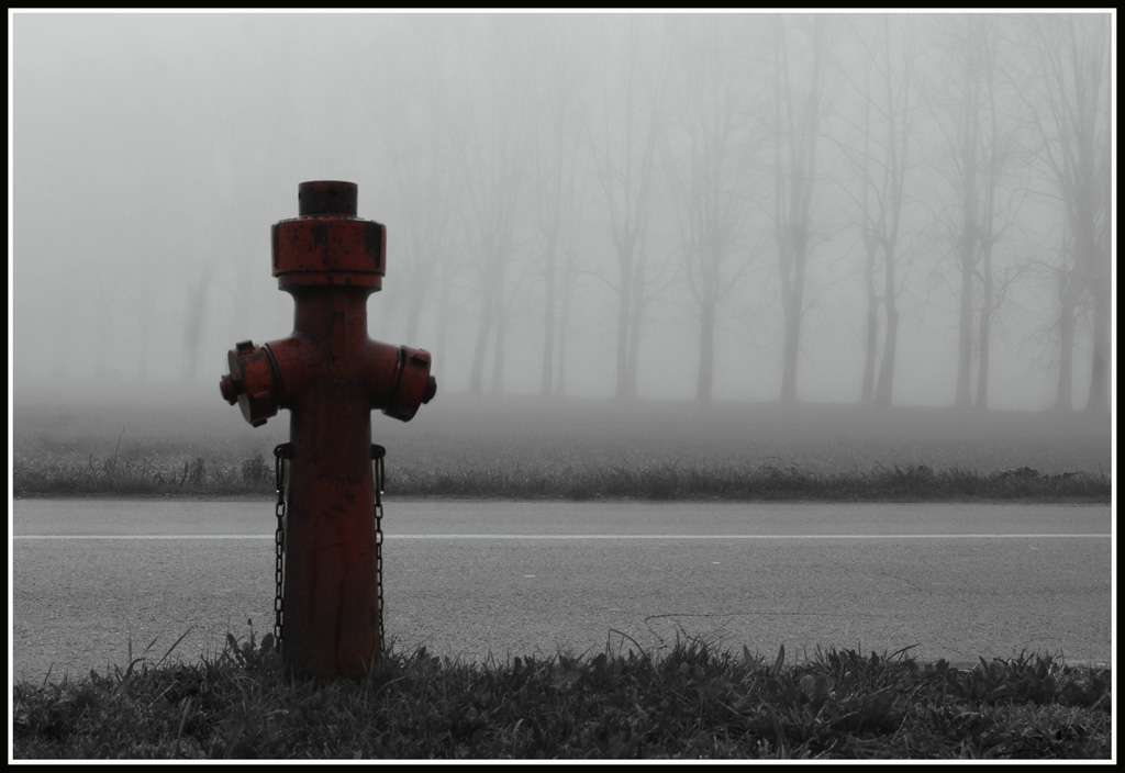 LA CALMA DEL MATTINO.....