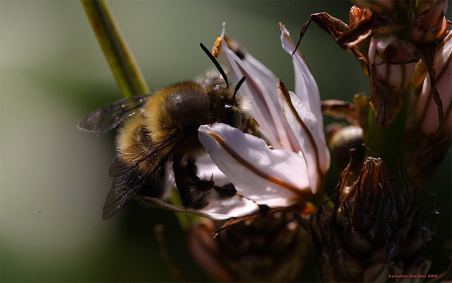 ...una dura battaglia...!!!