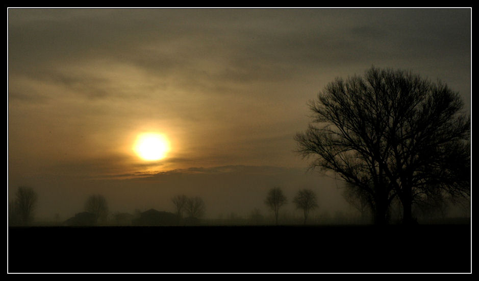 Terramia......Emozioni