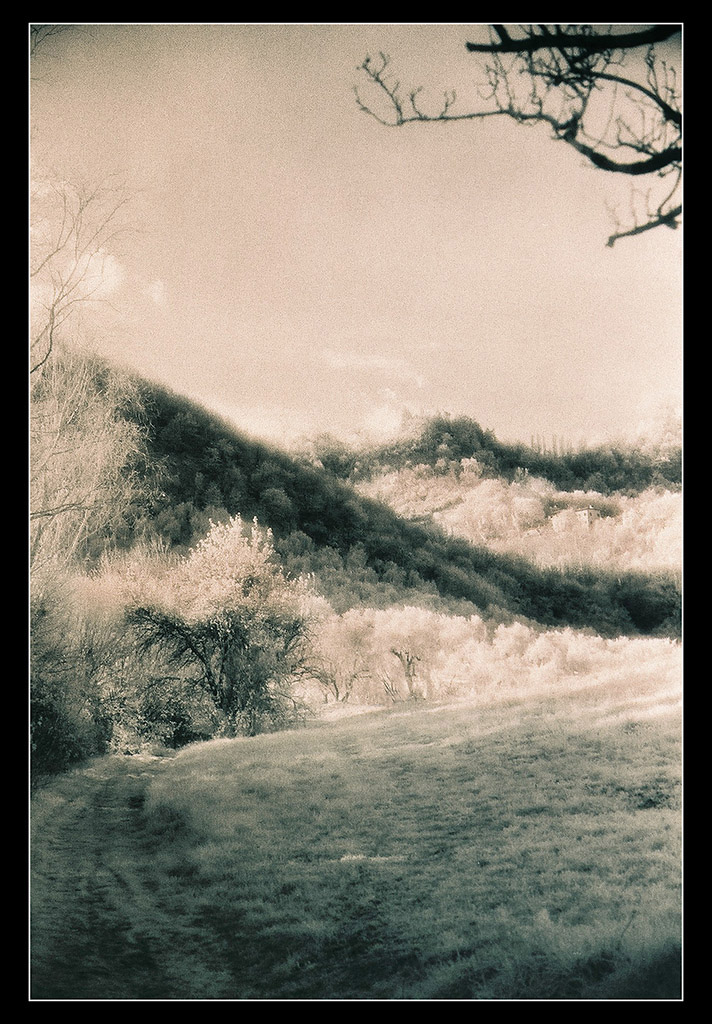 Saluti da Sleepy Hollow