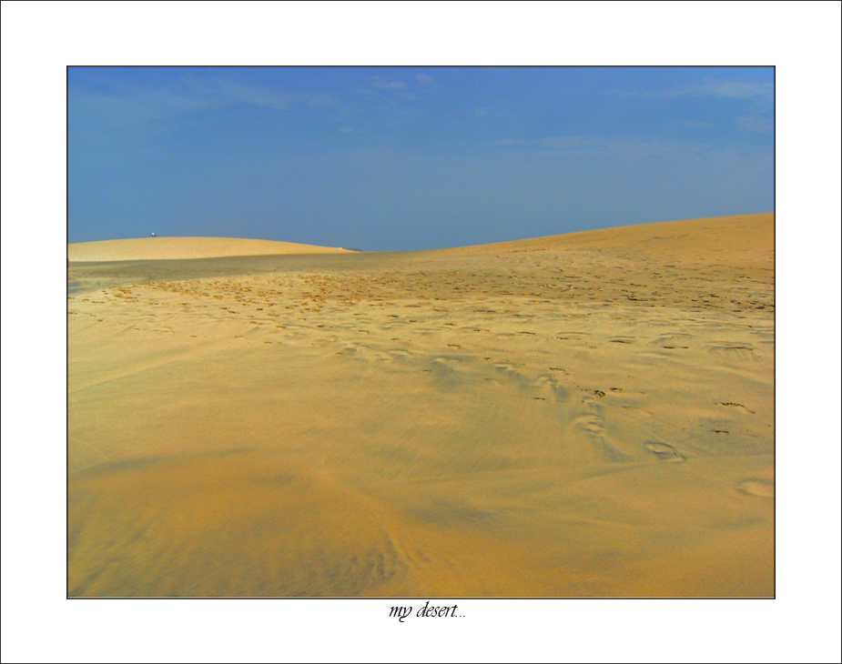 my desert...