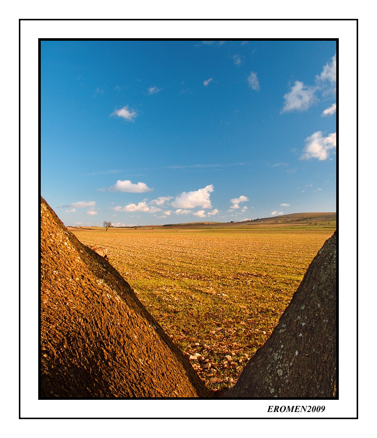 ...VOGLIA DI SPAZIO...