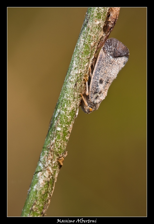 I segni del tempo...