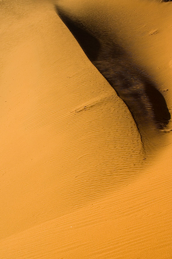 Sfumature nel deserto