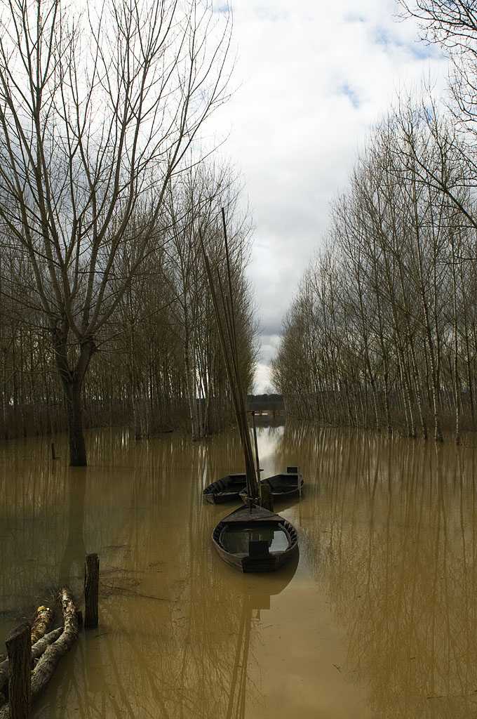 In padule a Fucecchio