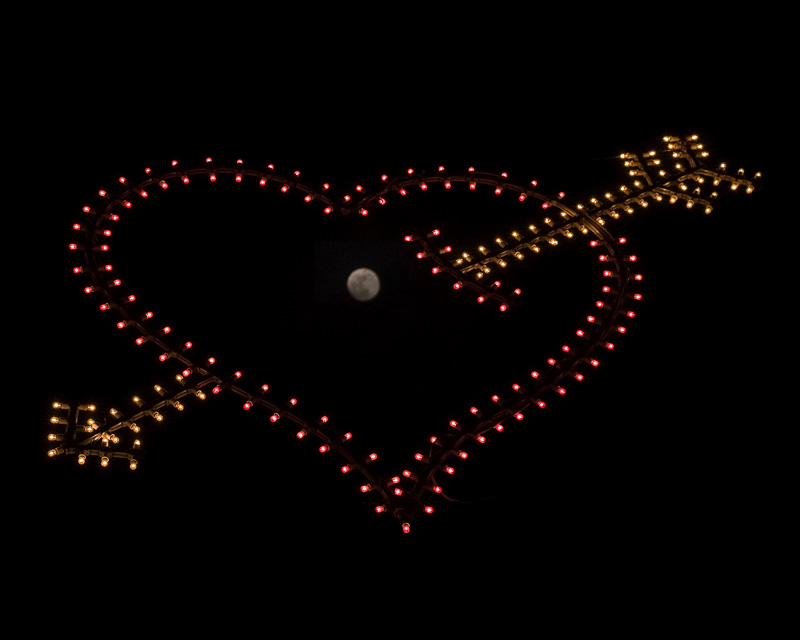 "regaler� il tuo sorriso alla luna perch�........"
