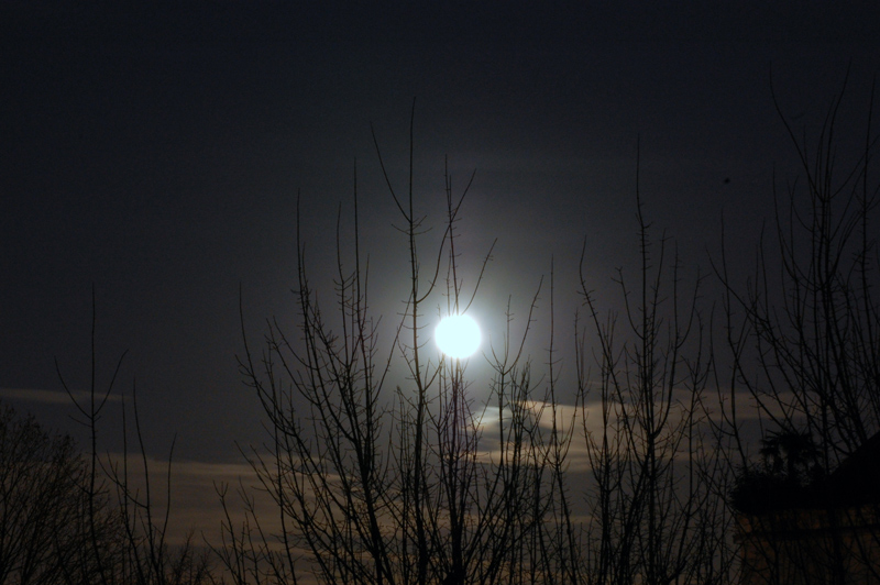 Moon over Varesina street