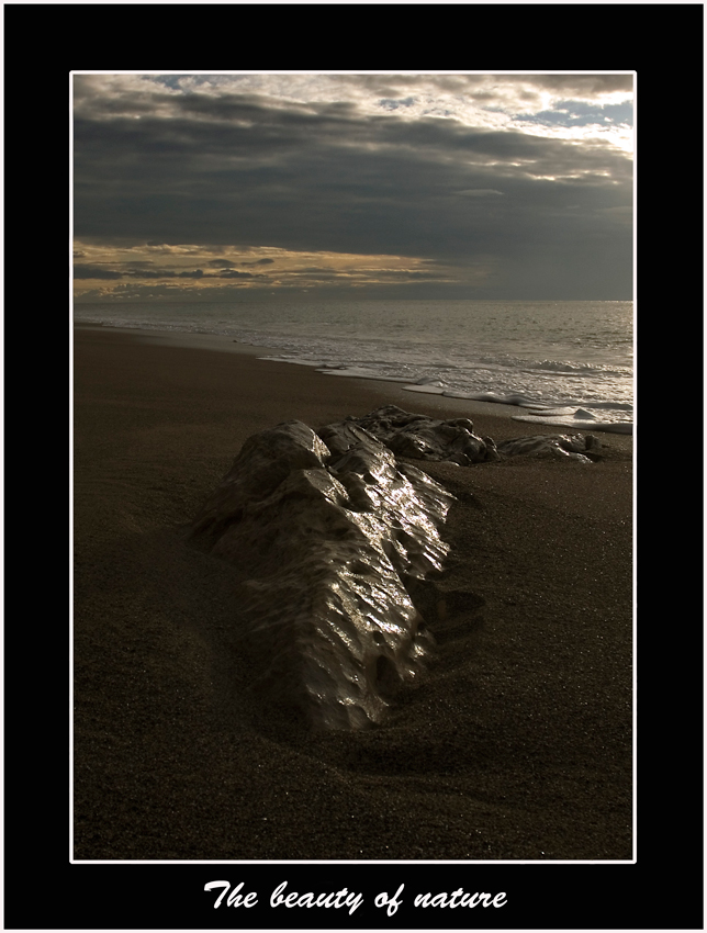 The beauty of nature