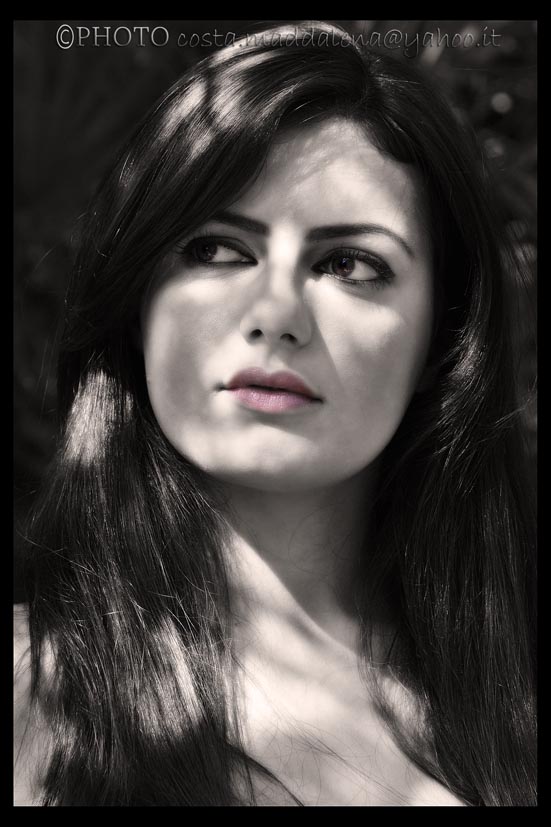 All'ombra di un pino