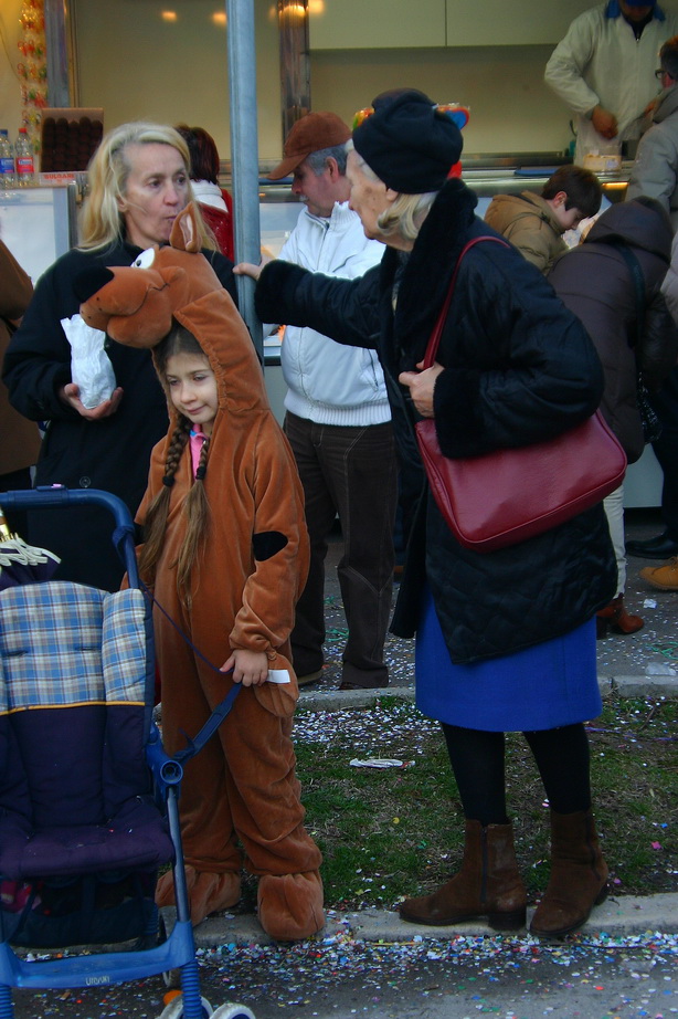 che bel cane signora, ma lo porta spesso a spasso!