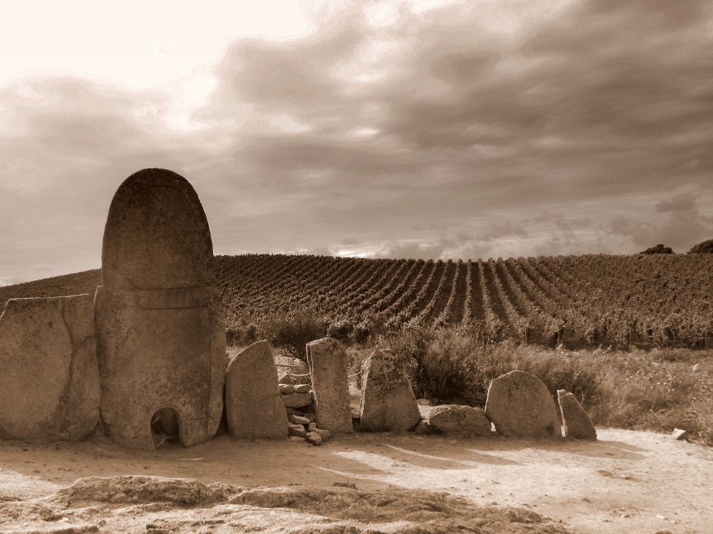 Vestigia Ataviche dopo la pioggia