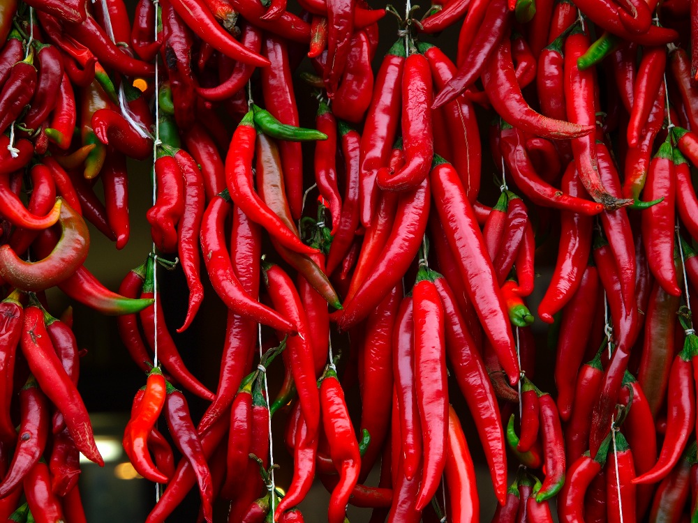 chili pepper