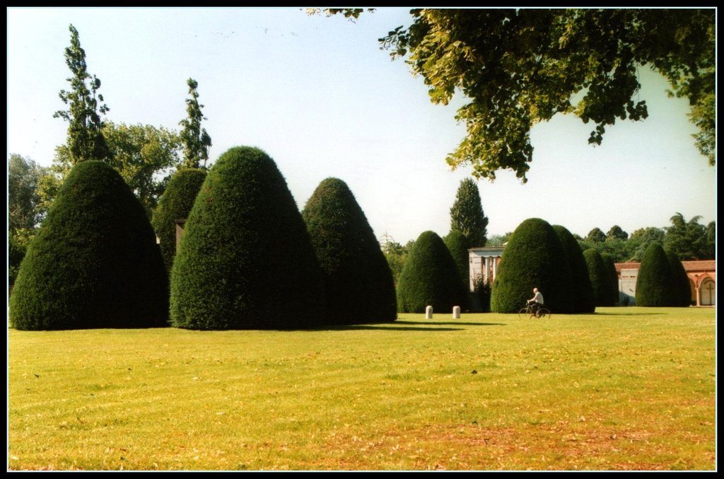 riding (in the city of bikes)