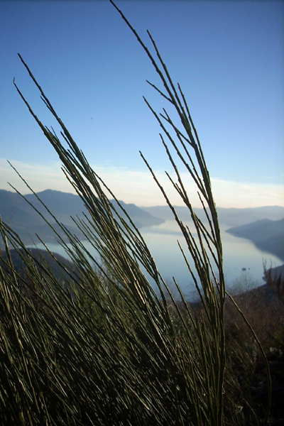 Lago Maggiore