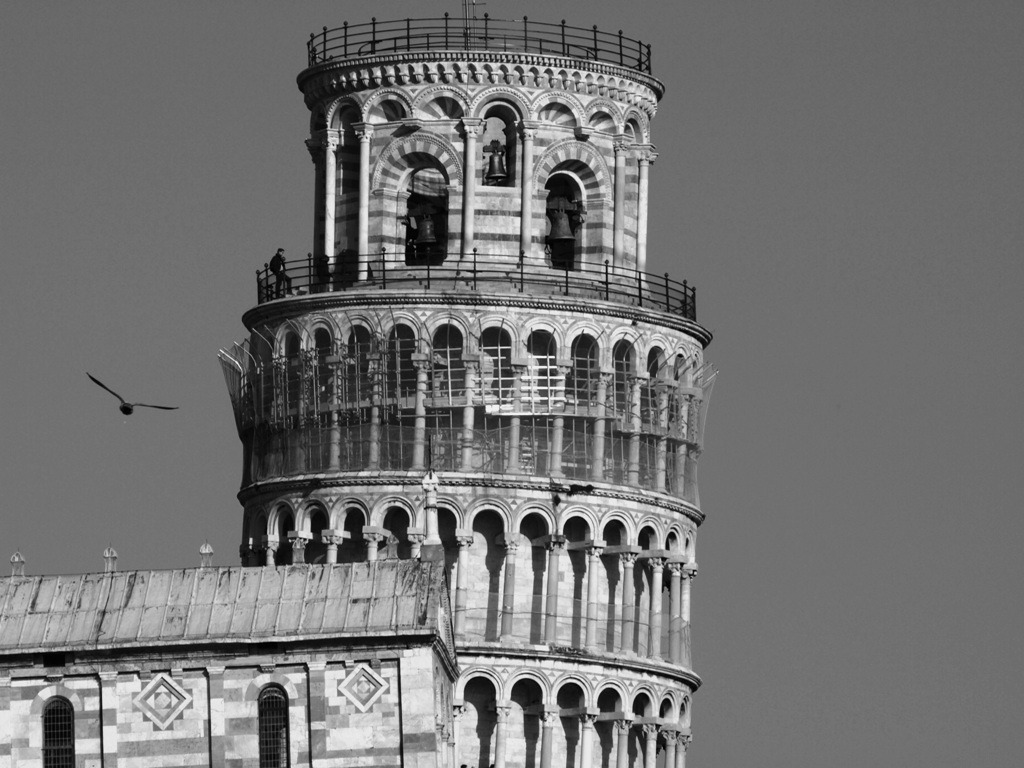 Pisa in volo