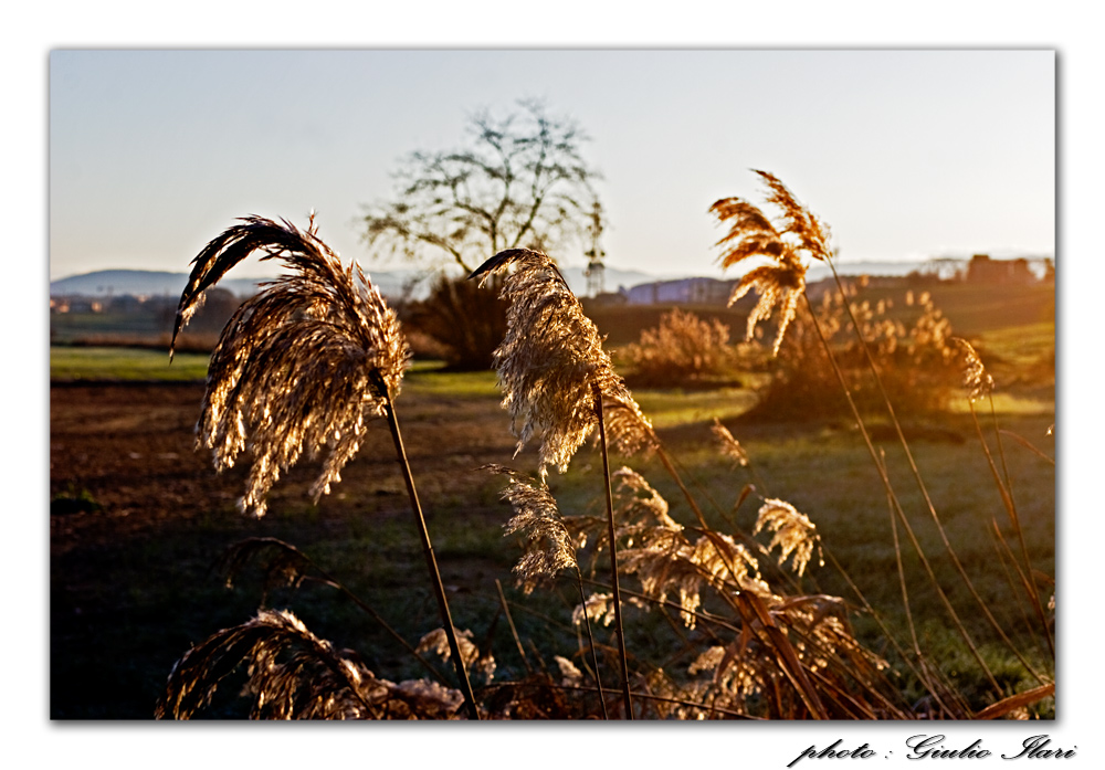 Il mattino ha l'oro in bocca